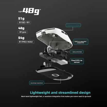VXE Dragonfly R1 Wireless Lightweight Ergonomic Mouse PAW3395 Sensor Three-mode Gaming Mouse Low Latency PC Player Office Gift