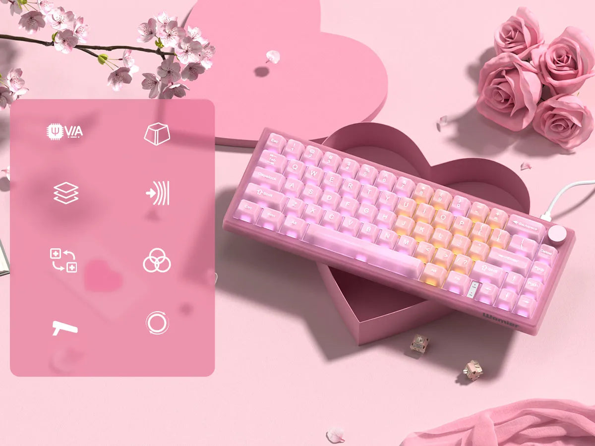Womier VK66 PRO Pink Hot Swap Gaming Keyboard Gasket Mount RGB Gamer Keyboard Wired QMK/VIA Mechanical Keyboard for Win Mac PC