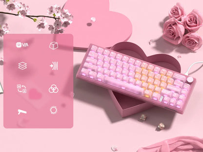 Womier VK66 PRO Pink Hot Swap Gaming Keyboard Gasket Mount RGB Gamer Keyboard Wired QMK/VIA Mechanical Keyboard for Win Mac PC