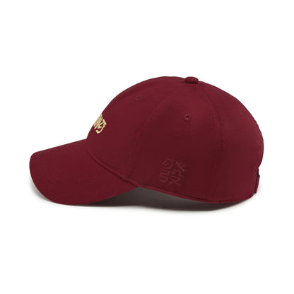 Li-Ning Unisex Sports Style Baseball Caps 56-60cm Cotton Comfortable Adjustable LiNing Fashionable Leisure Hats AMYW035