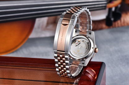 PAGANI DESIGN Luxe herenhorloge met saffierglas, lichtgevende wijzers, roestvrij staal, week- en datumweergave, mechanisch, waterdicht, ST16 herenhorloge