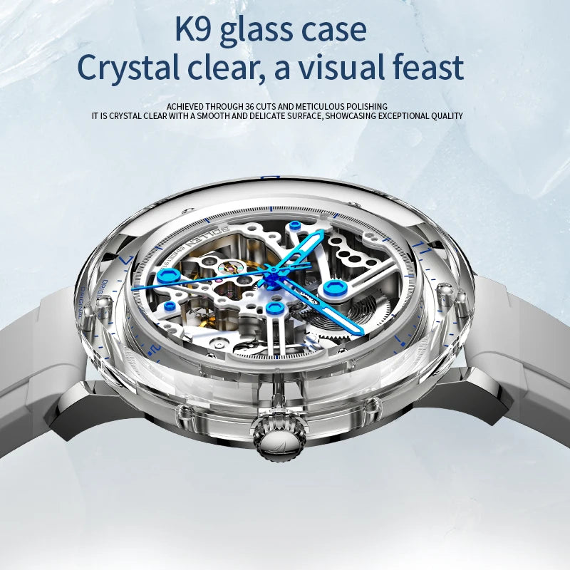 Luxury Brand Mens Automatic Watches Pagani Design Transparent Mechanical Watch For Men Sport Mechanical Skeleton Wristwatch Relo