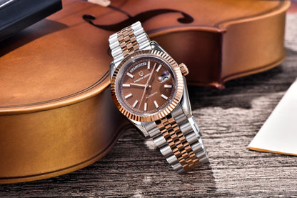 PAGANI DESIGN Luxe herenhorloge met saffierglas, lichtgevende wijzers, roestvrij staal, week- en datumweergave, mechanisch, waterdicht, ST16 herenhorloge