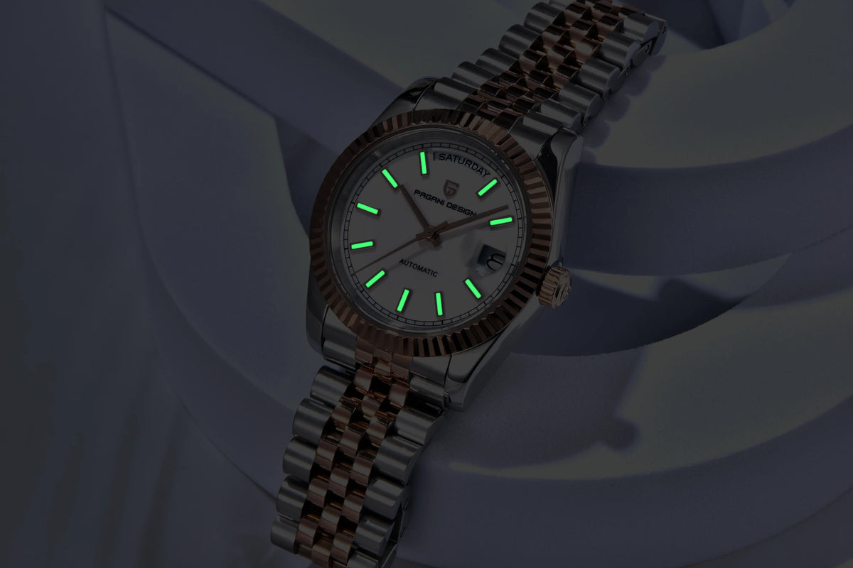 PAGANI DESIGN Luxe herenhorloge met saffierglas, lichtgevende wijzers, roestvrij staal, week- en datumweergave, mechanisch, waterdicht, ST16 herenhorloge