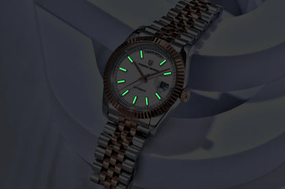 PAGANI DESIGN Luxe herenhorloge met saffierglas, lichtgevende wijzers, roestvrij staal, week- en datumweergave, mechanisch, waterdicht, ST16 herenhorloge