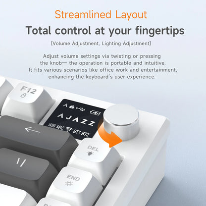 AJAZZ AF82 Office Low-Profile-Tastatur RGB kabelgebundene/kabellose Gaming-Tastatur 75%-Layout 82 Tasten 4000mAh Akku für Win/Mac