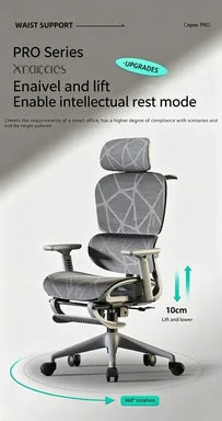 Carpeted Office Chairs Cheap Ergonomic Recliner Chairs Gaming Computer Wheels Free Shipping Adjustable Office Furniture