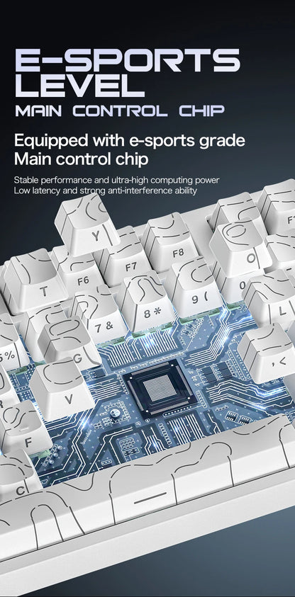 ATTACK SHARK R82 HE 8000Hz Magnetic Switch Keyboard 75% 0.005mm Rapid Trigger Low Latency RGB Hall Effect Wired Gaming Keyboard