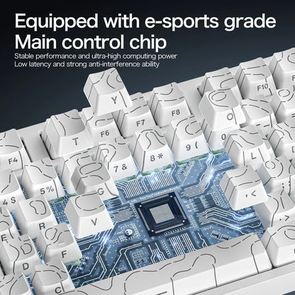 ATTACK SHARK R82 HE 8000Hz Magnetic Switch Keyboard 75% 0.005mm Rapid Trigger Low Latency RGB Hall Effect Wired Gaming Keyboard