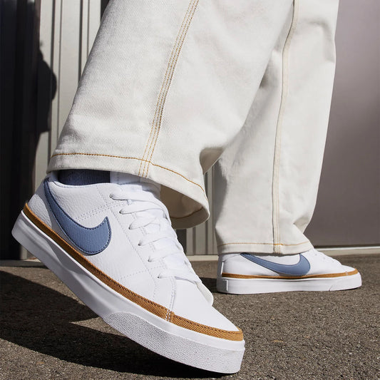 Baskets casual basses pour femme Nike authentiques, nouvelle collection printemps, modèle DH3161-108