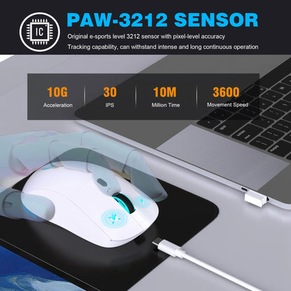 2.4G Wireless Rechargeable Mouse 650mAh Adjustable 3600DPI 7 Colors RGB Lighting Ergonomic Silent for Office Laptop PC Gaming