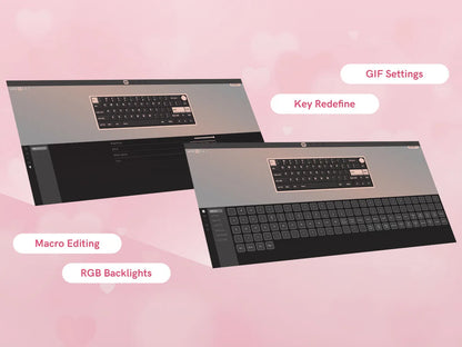 Womier VK66 PRO Pink Hot Swap Gaming Keyboard Gasket Mount RGB Gamer Keyboard Wired QMK/VIA Mechanical Keyboard for Win Mac PC