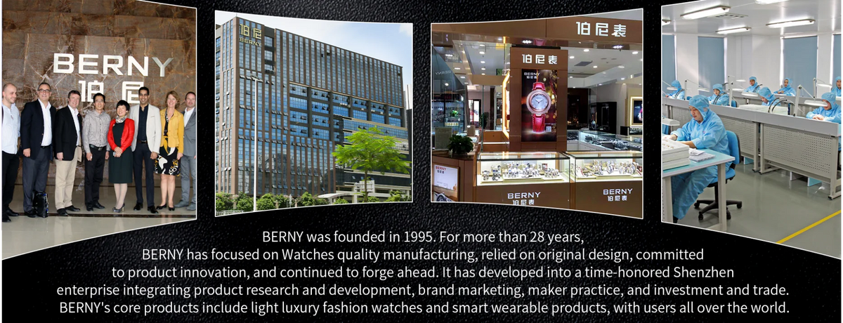BERNY Automatic Watch Men  ST2130 Luminous Mechanical Wristwatch Sapphire Waterproof 10ATM Top Brand Luxury Watch for Men
